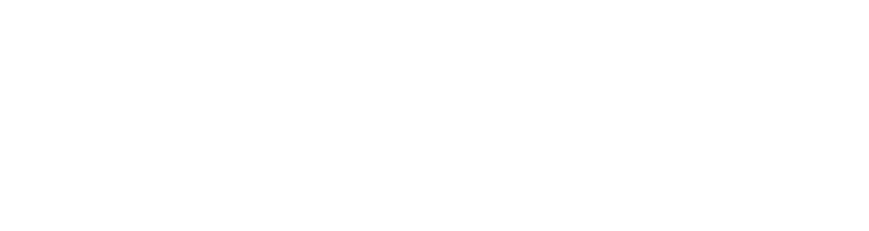 Logo_Blanc_logo_Reaverfit_alternatif