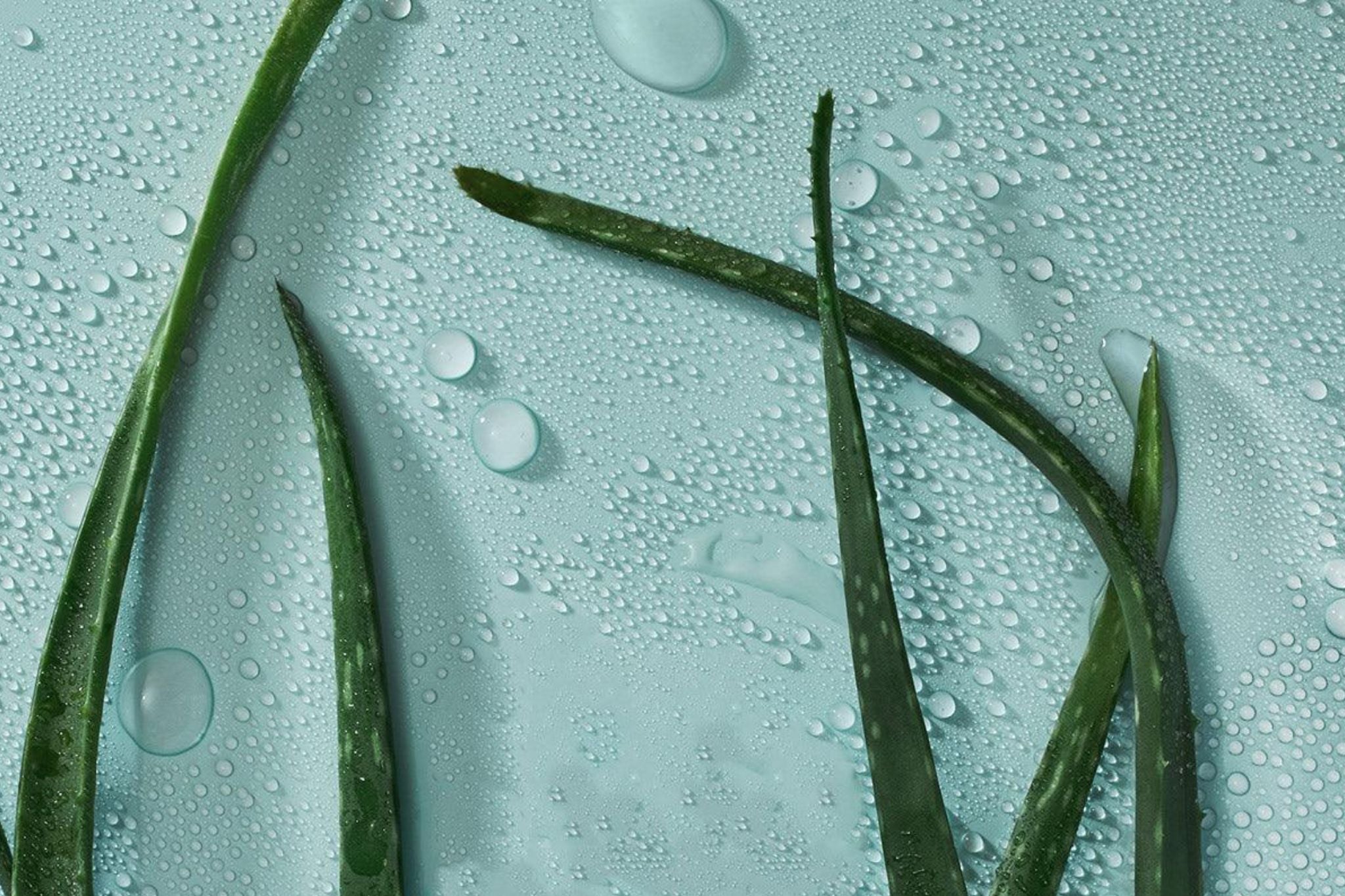 Les bienfaits de l'Aloe Vera pour le sport